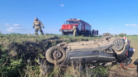 Два человека погибли в автоаварии в Добринском районе 