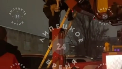 В Липецке спасли кошку из квартиры на проспекте Победы