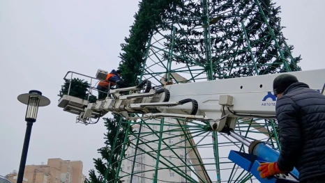 Самая высокая ель Липецка зажжется в микрорайоне Европейский