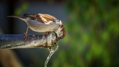 На шести улицах Липецка 29 июня отключат холодную воду. Адреса