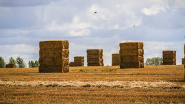 Заготовка кормов в Липецкой области близится к завершению