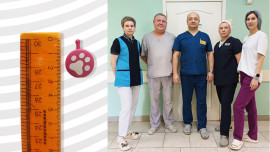 В Липецке врачи извлекли из желудка 4-летнего малыша пластиковую игрушку