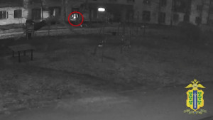 В Липецке за поломку домофона и кражу вещей задержали мужчину 