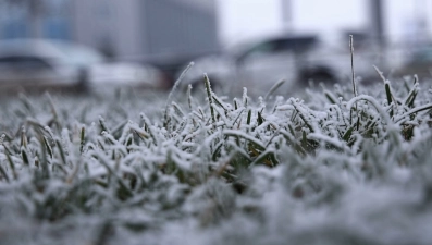 Мокрый снег ожидается в Липецкой области