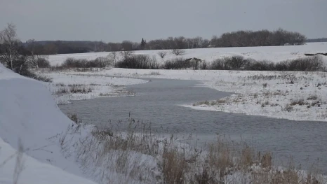 Липчане выбирают жизнь вдали от городской суеты