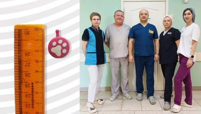 В Липецке врачи извлекли из желудка 4-летнего малыша пластиковую игрушку