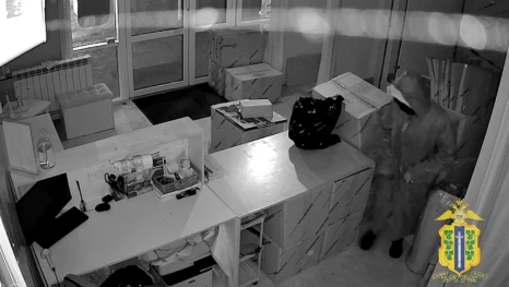 В Липецке задержали бывшего курьера маркетплейса за кражу золотой цепочки