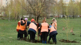 В Липецк пришла «Зеленая весна»