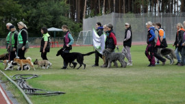 В Липецке прошел чемпионат по спортивно-прикладному собаководству