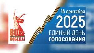 Избиратели Липецкой области смогут проголосовать на избирательных участках или через ДЭГ