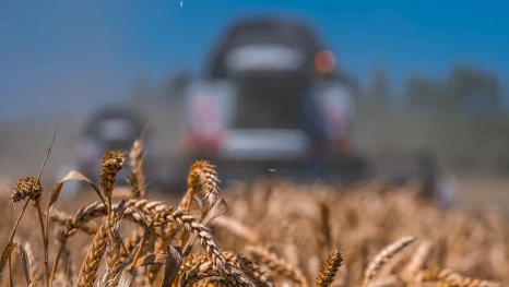 Липецкая область отправила за границу более 1,5 млн тонн сельхозпродукции