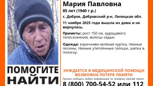 В Липецкой области ищут Марию Клеймёнову