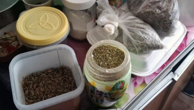 Жителя Липецкой области отправили под суд за 200 граммов марихуаны