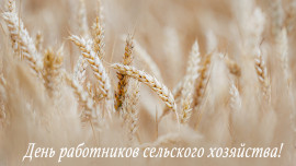 Руководители региона поздравили аграриев в Днём работника сельского хозяйства 