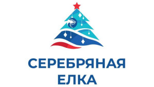 «Единая Россия» запустила благотворительную акцию «Серебряная елка»