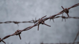 Трое подростков в Грязинском районе предстанут перед судом за кражу мопеда