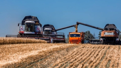 Миллион тонн зерна намолотили липецкие аграрии