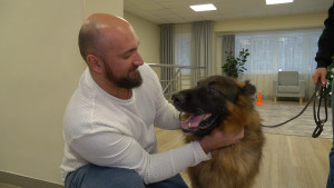 Терапия с помощью собак набирает популярность в липецком реабилитационном центре