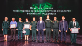 Лесники Липецкой области удостоились наград