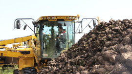 Аграрии Липецкой области собрали первый миллион тонн свёклы