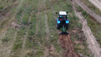 В Чаплыгинском районе прошли соревнования на лучшего лесоруба