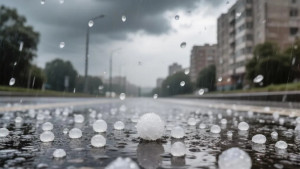 Липецкие спасатели предупредили о граде и порывах ветра до 20 метров в секунду 4 июля 