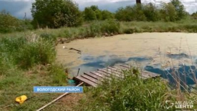 В Вологодской области за месяц утонули четверо детей