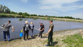 Липецкие экологи проверяют информацию о сбросе нечистот в реку Воронеж