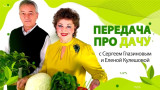 Передача про дачу