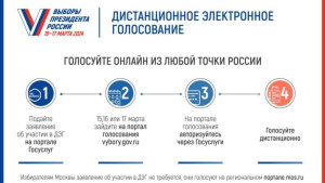 Стартовал приём заявлений об участии в ДЭГ