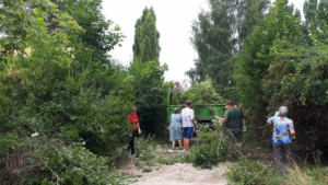 В Липецке продолжается серия субботников