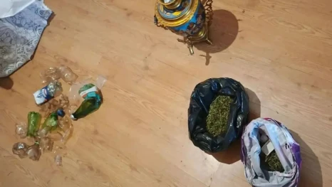 Жительница Добровского округа хранила дома 193 грамма марихуаны