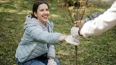 Новый «зеленый» рекорд: волонтеры НЛМК высадили 3400 деревьев в Липецке