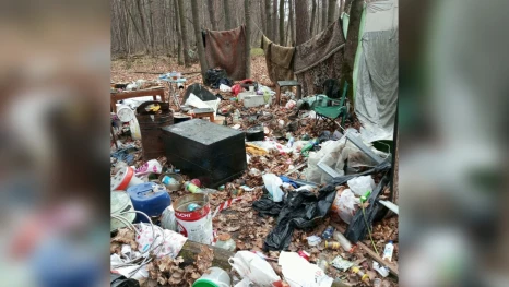 Более 40 свалок убрали волонтёры в лесах Липецкой области за полгода