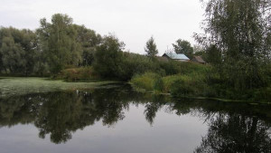 Тело мужчины подняли со дна деревенского пруда в Липецкой области