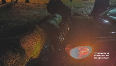 Дерево повредило капот иномарки в Липецке