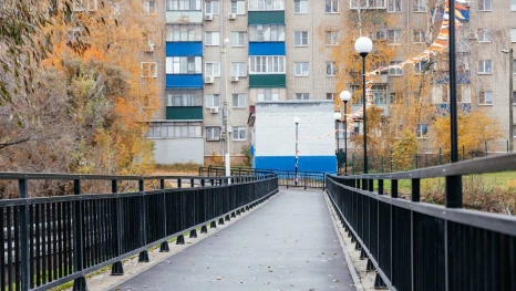 В Липецке для жителей Сокола и «Коллективки» открыли новый пешеходный мост