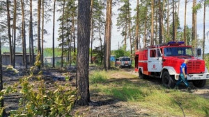 В Липецкой области введен запрет на посещение лесов