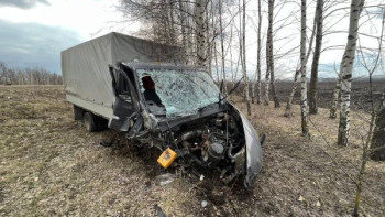 В Липецкой области из-за выскочившей на встречку машины пострадал водитель «Нивы» 