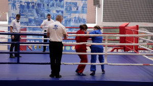 В Липецкой области проходят чемпионат и первенство ЦФО по универсальному бою 