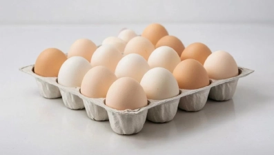 В Липецкой области растет производство яиц