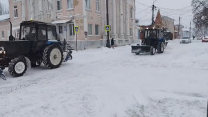 Школьники Ельца из-за аномальных морозов 2 и 3 февраля смогут учиться дистанционно