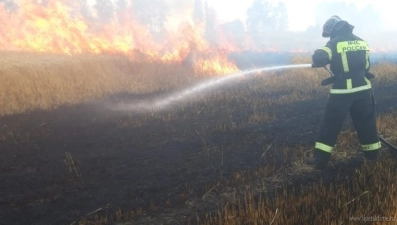 В Романово горит трава (видео)