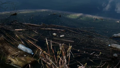 Канализационные стоки угрожают поливным водоёмам липецкого садоводства «Строитель»