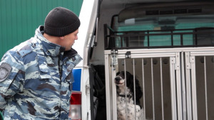 УМВД по Липецкой области показало работу некоторых подразделений