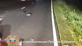В Липецкой области ищут водителя ВАЗа, сбившего насмерть пешехода под Лебедянью