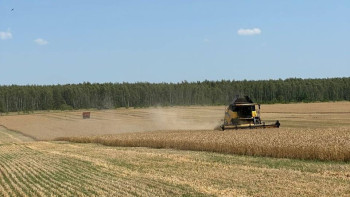 Уборочная кампания началась в Липецкой области
