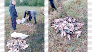 Браконьеры наловили 209 кг рыбы в заказнике Липецкой области