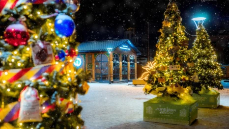 В регионе подвели итоги фестиваля «Ёлки Липецкой Земли» 