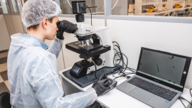 В елецком госуниверситете планируют обучать ветеринаров 